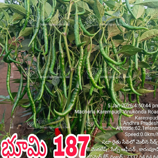 MELYNA BHOOMI 187 slider image 1