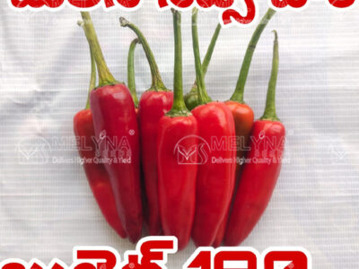MELYNA BULLET 190