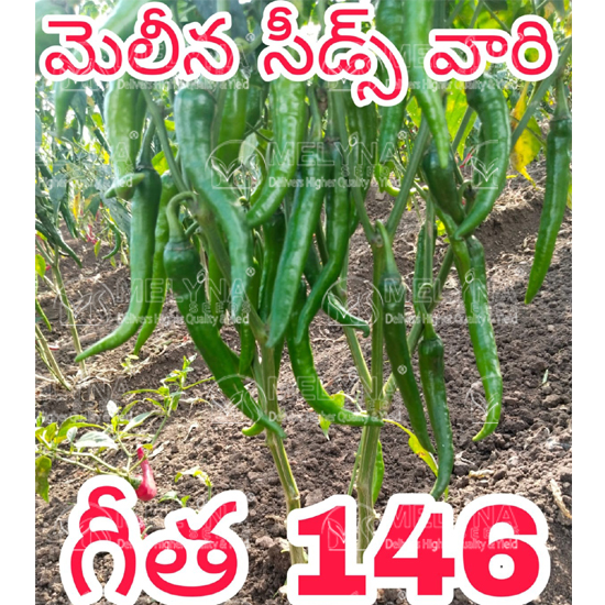 MELYNA GEETHA 146 slider image 4