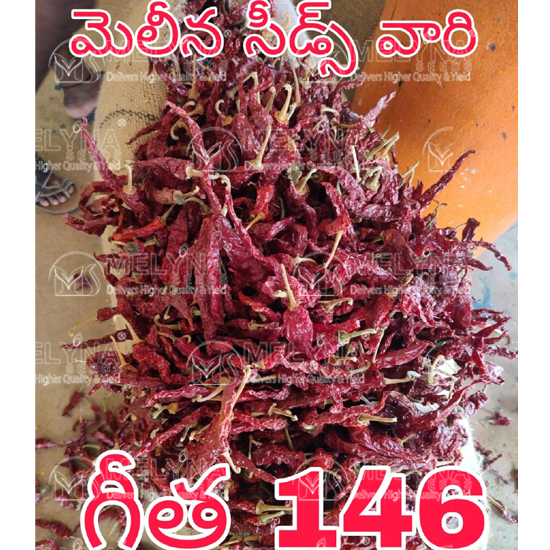 MELYNA GEETHA 146 slider image 5