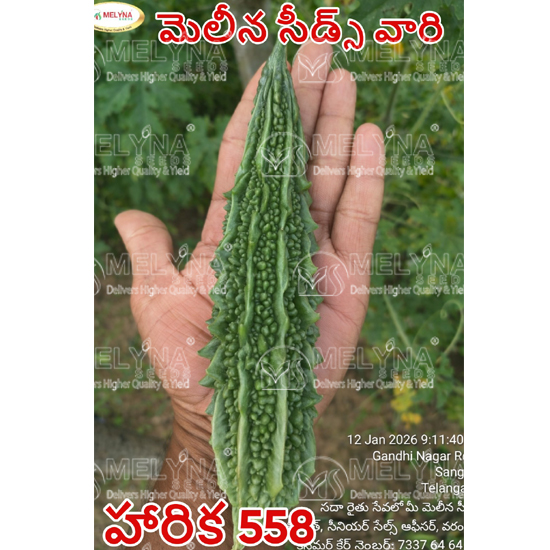 MELYNA HARIKA 558 slider image 1