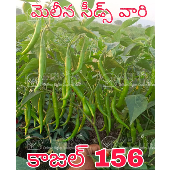 MELYNA KAJAL 156 slider image 2
