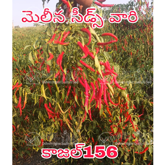 MELYNA KAJAL 156 slider image 3