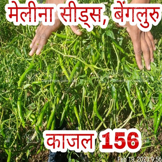 MELYNA KAJAL 156 slider image 6