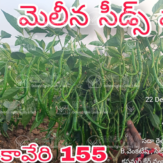 MELYNA KAVERI 155 slider image 5