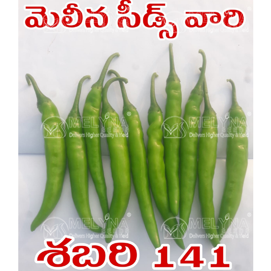 MELYNA SABARI 141 slider image 1