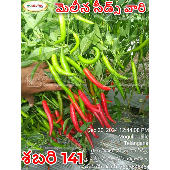 MELYNA SABARI 141 slider image 7