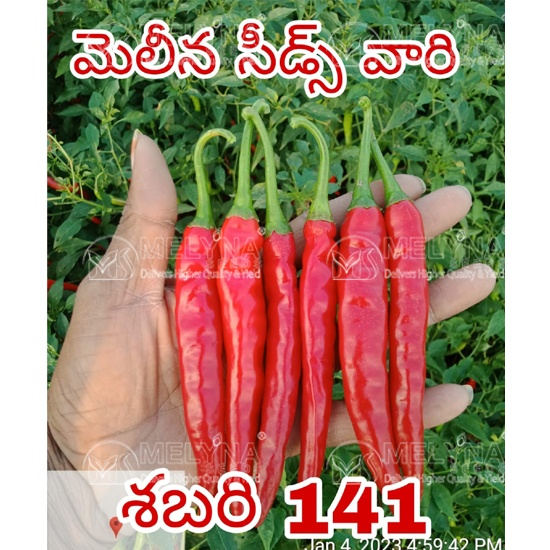 MELYNA SABARI 141 slider image 5