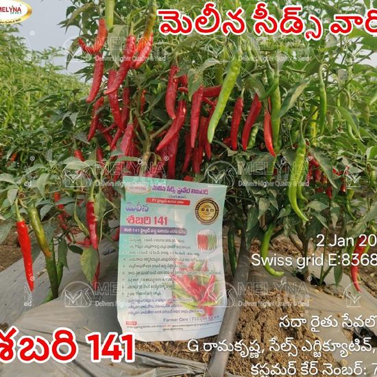 MELYNA SABARI 141 slider image 3