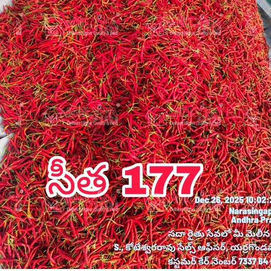 MELYNA SITA 177 slider image 8