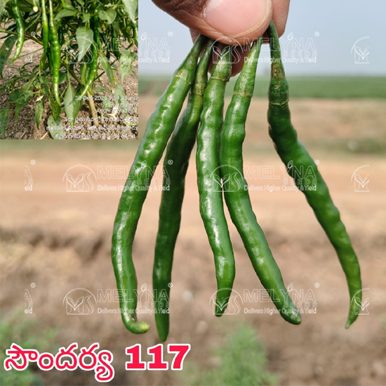 MELYNA SOUNDARYA 117 slider image 2