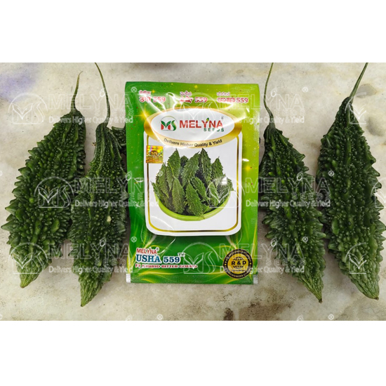 MELYNA USHA 559 slider image 1